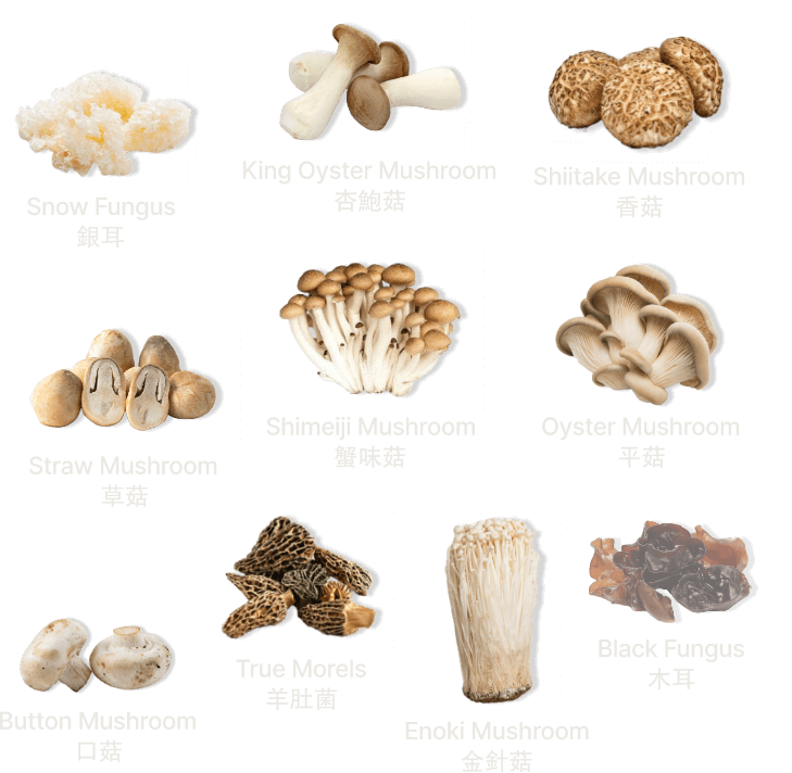LP-mushrooms-01-xs